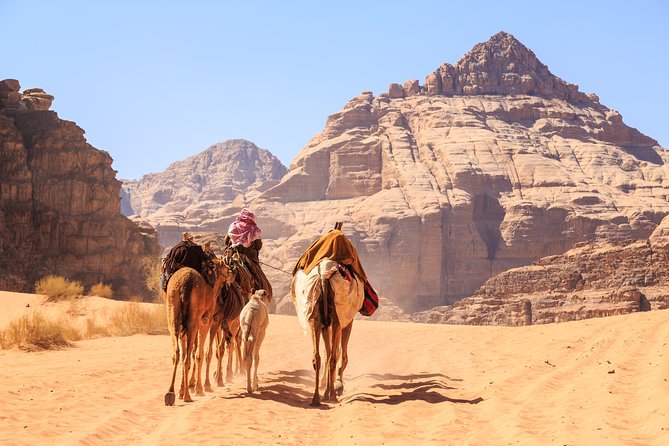 Private Tour of Wadi Rum Star Wars from Aqaba - Mint tea in a Bedouin tent