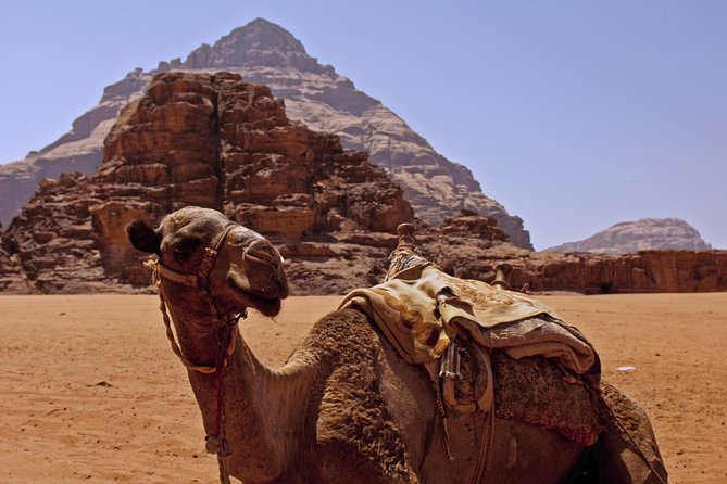 Private Tour of Wadi Rum Star Wars from Aqaba - Camel ride or extra jeep time