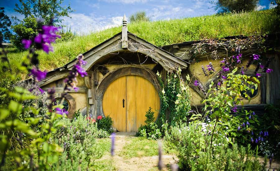 Rotorua: One-Way Trip to Auckland via Hobbiton & Waitomo - One long day from Rotorua to Auckland