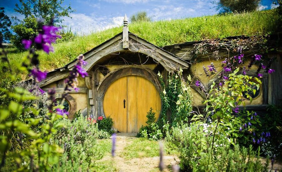 Rotorua: One-Way Trip to Auckland via Hobbiton & Waitomo - Who should book this experience?