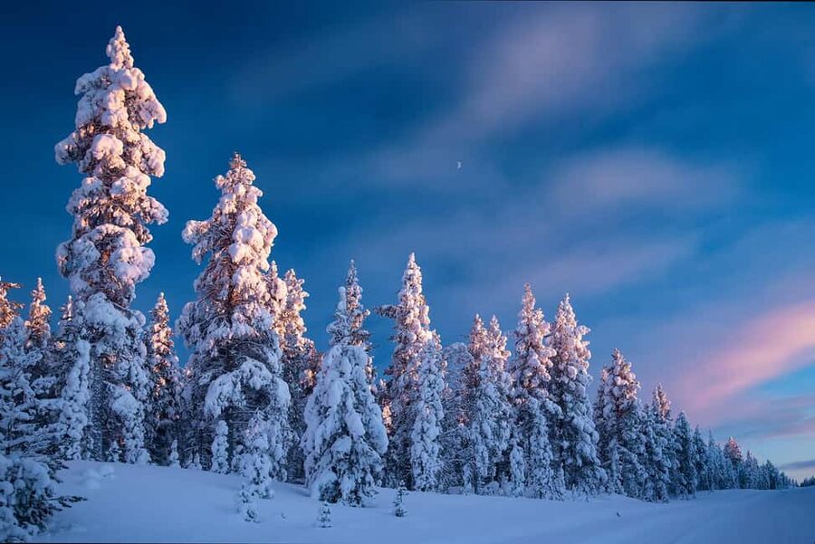 Rovaniemi: Snowy Forest Like in the Movies 3 Hour Tour - Starting in Rovaniemi with a warm SUV ride