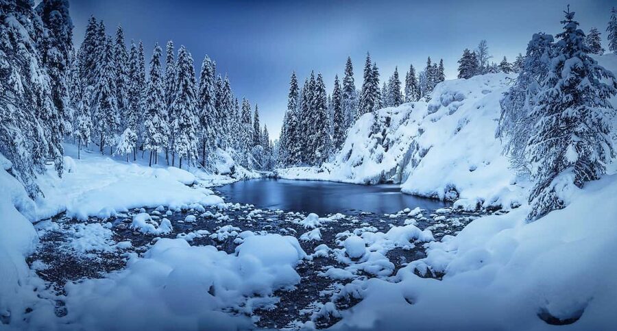 Rovaniemi: Snowy Forest Like in the Movies 3 Hour Tour - Rivers, silence, and the real appeal of the outing
