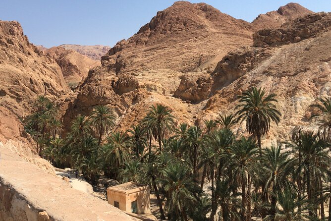 Tamerza, Chebika, Mides Canyons and Star Wars Full-Day Tour - What the driver service includes, and what it does not