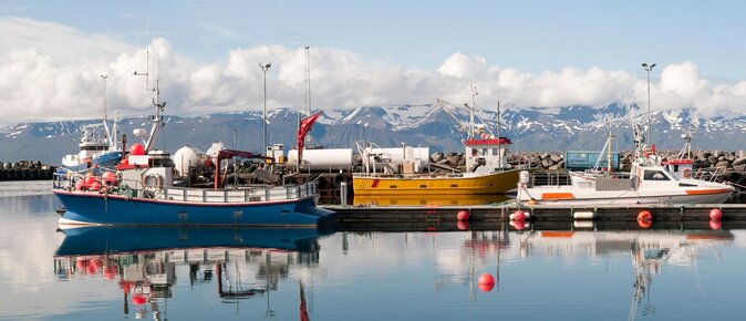 The Story of Fire Saga Eurovision: Netflix Húsavík Walking Tour - Key points to know before you book