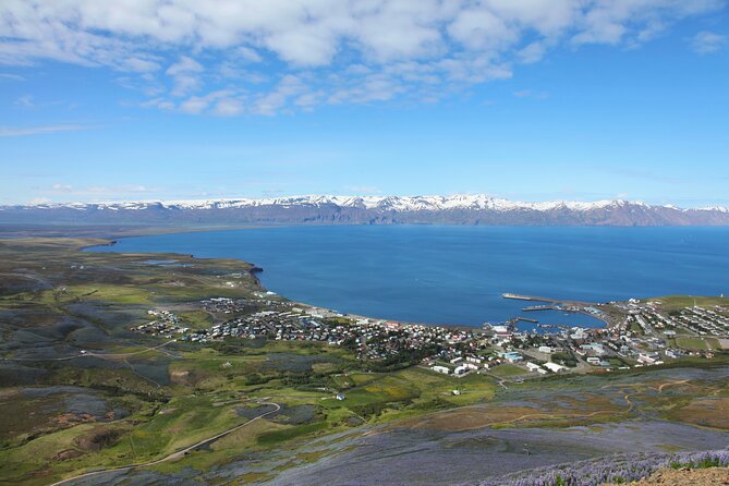 The Story of Fire Saga Eurovision: Netflix Húsavík Walking Tour - Húsavík, the town behind the movie
