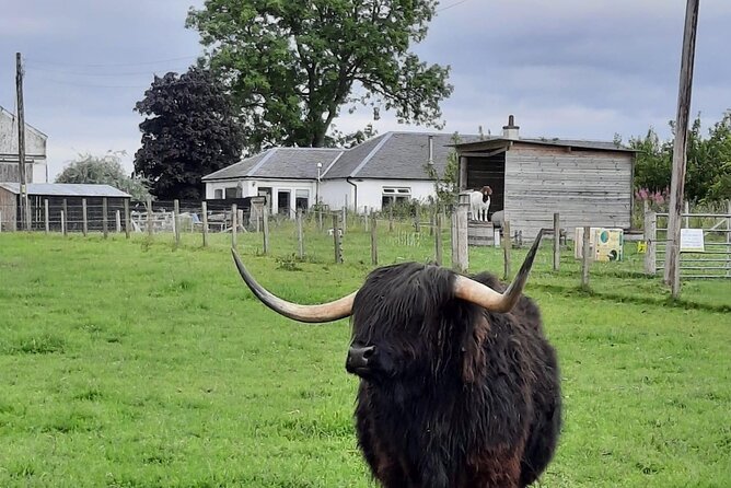 Urquhart Castle, Culloden, Clava Cairns, Loch Ness - Clava Cairns and the real-world Outlander connection