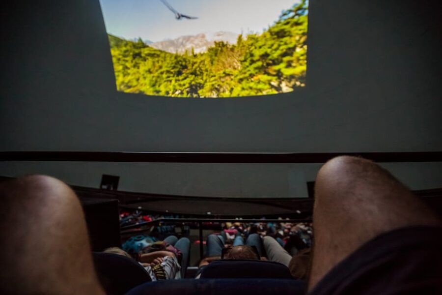 Valencia: City of Arts and Science 3D Movie at Hemisfèric - Is $10 a fair price?